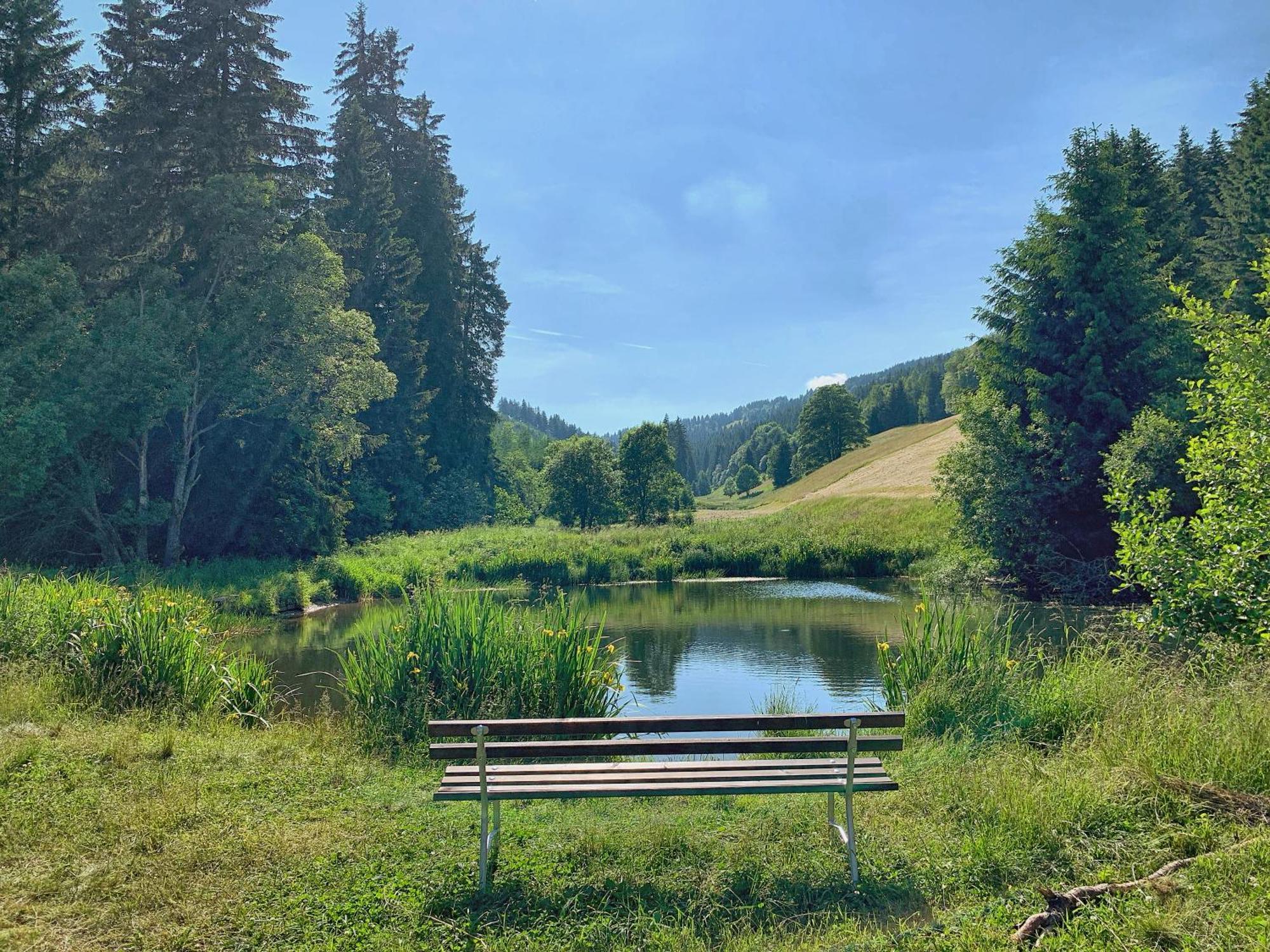 Erzgebirge Suite Bergruhe Курорт Обервизенталь Экстерьер фото